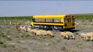 Fujifilm xbus Konya Yollarında