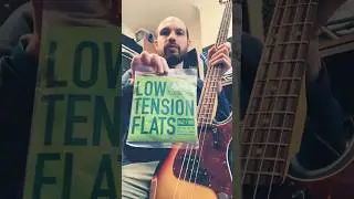 Лучшие струны с плоской обмоткой для бас-гитары (для меня!) ​@labellastrings1913 #bassstrings #fl...