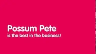 Possum Removal Melbourne | Possum Pete