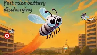 Post Tinywhoop Championship Battery discharge