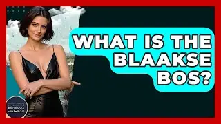 What Is The Blaakse Bos? - Exploring The Benelux