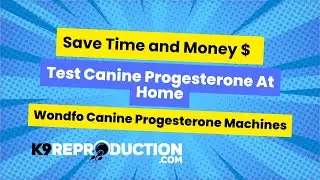 Save Time & Money with Wondfo Progesterone Testing Machines for Dogs!