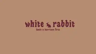 white rabbit - &auml;ngie x harrison first