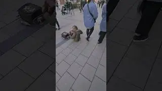 Munich Musicians live performance, 