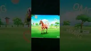 Horse Legend