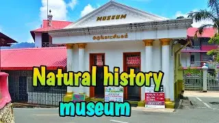 Unexpected ആയി കയറിയ മ്യൂസിയം Kodaikanal  #naturalhistorymuseum 