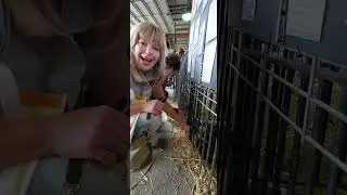 Cuyahoga County Fair memories with Jerry O'Connell and Melissa Peterman