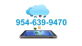 Website Builder Tampa - 888-235-6111 Internet Marketing Tampa Website Builder