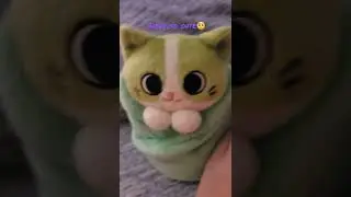 my little cat burritos plushies