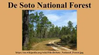 De Soto National Forest