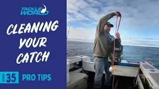 How To Properly Clean Your Catch