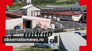 Dependenţi fără voia lor. 