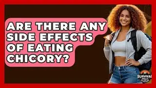 Are There Any Side Effects Of Eating Chicory? - Survival Skills for Everyone