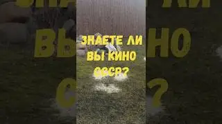 Киновикторина 🎞️📽️🎑 #викторина #кино #quiz #top #приколандия #угадай #cinema #cinematic