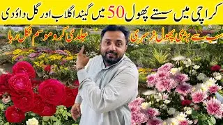 karachi Nursery plants || Best  Flowers plant nursery In karachi || Cheapest Nursery in Karachi