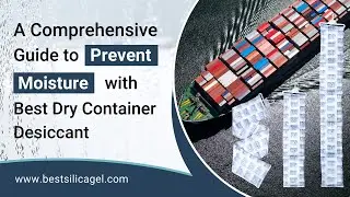 Protect Your Cargo with BEST DRY&reg; Container Desiccant | Prevent Mold | 300% Moisture Absorption