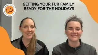 PREPARING YOUR PET FOR THE HOLIDAY SEASON
