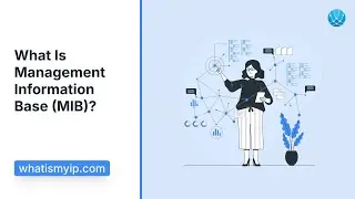 What Is Management Information Base (MIB)?