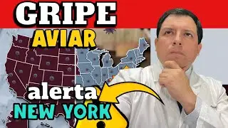 ¡ALERTA! ¿NEW YORK EN ALERTA POR GRIPE AVIAR H5N1?-SE ORDENA CIERRE TEMPORAL MERCADOS DE AVES VIVAS