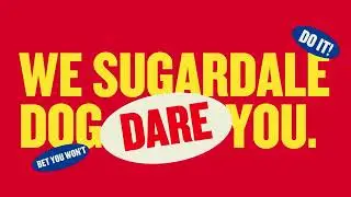 WE SUGARDALE DOG DARE YOU