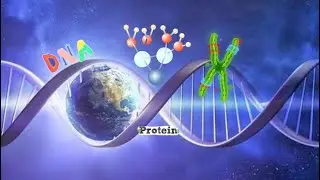 What is the molecule of life? (DNA?, protein?, RNA? or Polysaccharide?)