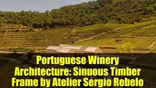 Portuguese Winery Architecture: Sinuous Timber Frame by Atelier S&eacute;rgio Rebelo