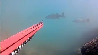 KAB - MisterPeppe. Defaticamento post Pasquale. Un bel pomeriggio di pesca sub a Manfredonia.