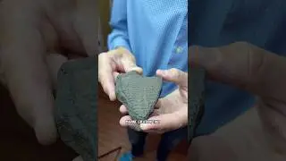 Что может быть в коллекции палеонтолога? Окаменелость морской черепахи! #окаменелости