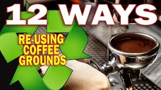 Reusing Coffee Grounds 12 Ways