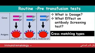 Lecture 1-16-1 Routine Pre Transfusion Tests