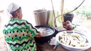 Fazendo polvilho de ararutas.
