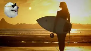 🏖️Endless Summer - Roa (No Copyright) Vlog Music 🎶