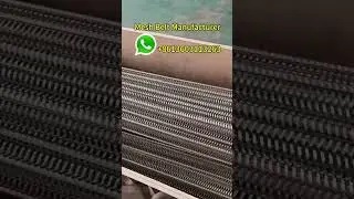 Balanced spiral woven wire conveyor belt with chain drive #foodmachinery #curing #cladding #Shrink