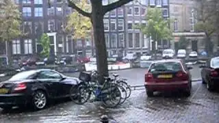 DSCI0442.AVI