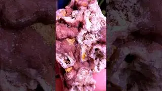 🍓 DRUZY  AGATE 🍓 #druzy #agate #rockhounding #rocks #crystals