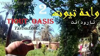 Let's visit Tiout oasis in Taroudant🇲🇦 ( Part 2 ) جولة استكشافية لواحة تيوت إقليم تارودانت