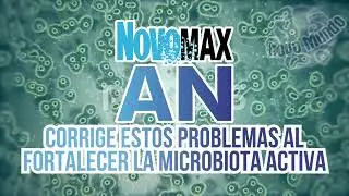 NOVOMAX AN Introducci&oacute;n