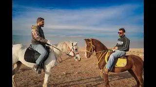 جربنا اسطبلات خيل في عمان الأردن (تعلم ركوب الخيل من الصفر)