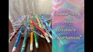 Cool Leak Proof Bag Science Experiment for Kids!!/ Z's Thang