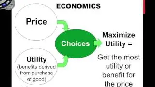 Economic Choices