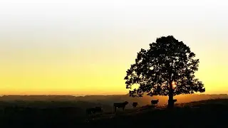 Geschichte der Schreinermanufaktur R&ouml;thlisberger