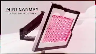 SunPower LED  | Introduction 2021