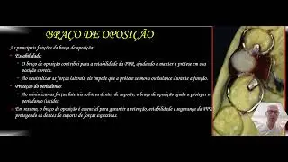 Elementos Constituintes e tipos de grampos2025 2