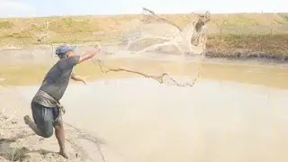 Cast Net Fishing||Catching Fish With A Cast Net By Village Pond||@arohifishingas894(part-534)