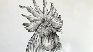 How to Draw a Rooster 🐓 Charcoal Drawing🐓
