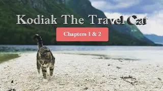 Kodiak The Travel Cat: The Attempt on a World Record