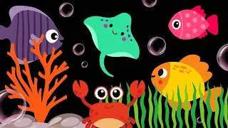 Baby Sensory Video - High contrast - Sensory Videos for Babies - Visual Stimulation for Newborn