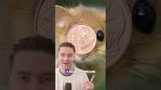 Brand New UK Coins in Circulation!
