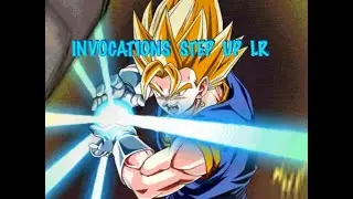 Mes invocations des portails step up LR/Dokkan Fest de 2026