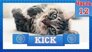 Криптовалюта KICKCOIN #12 KICK